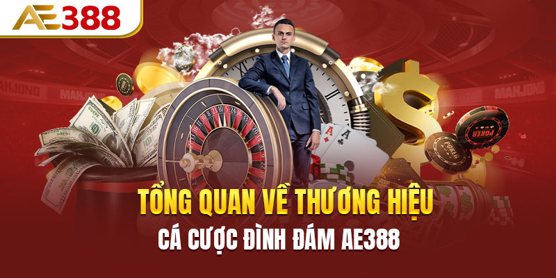 Tổng quan về thương hiệu cá cược đình đám AE388